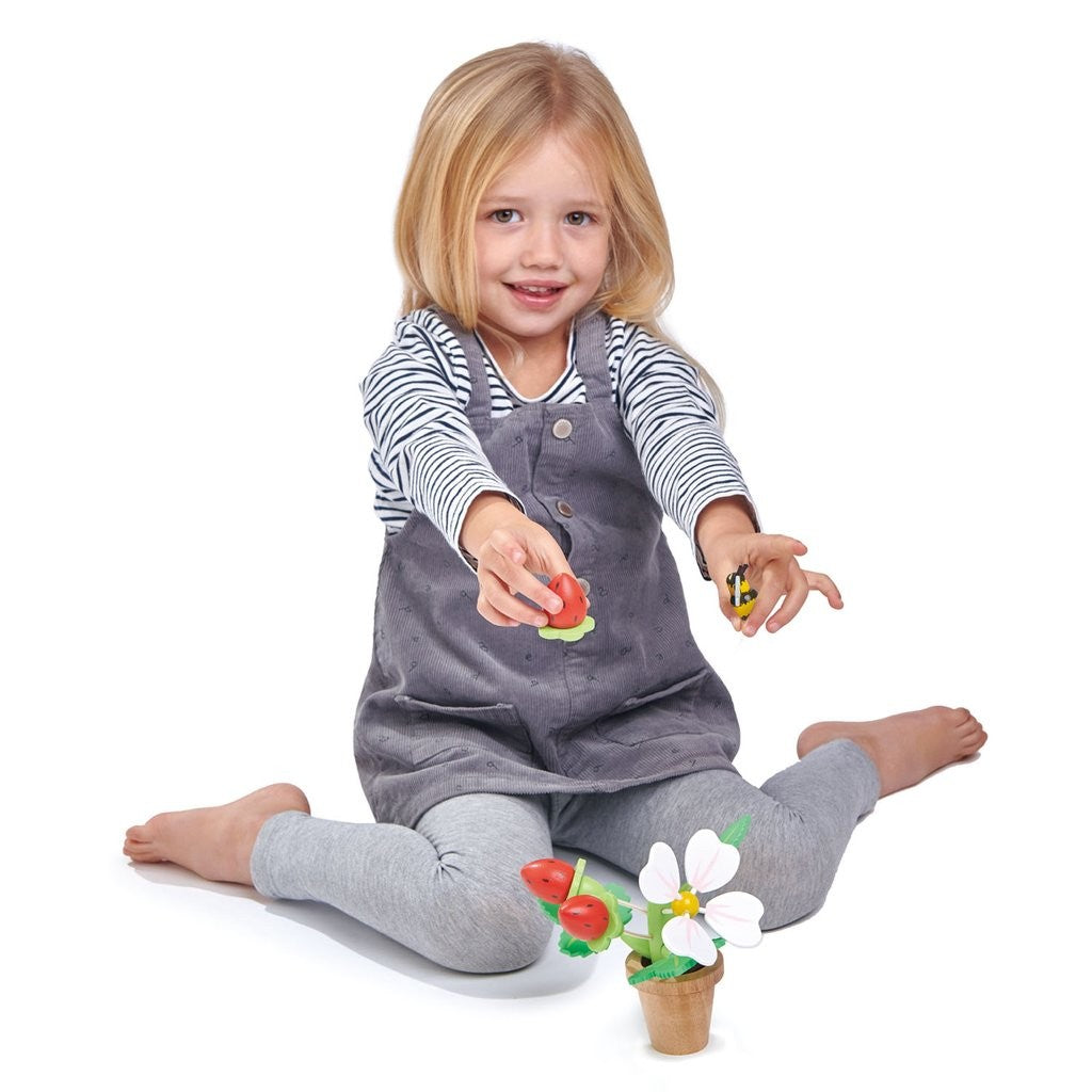 Tender Leaf Toys Strawberry Flower Pot